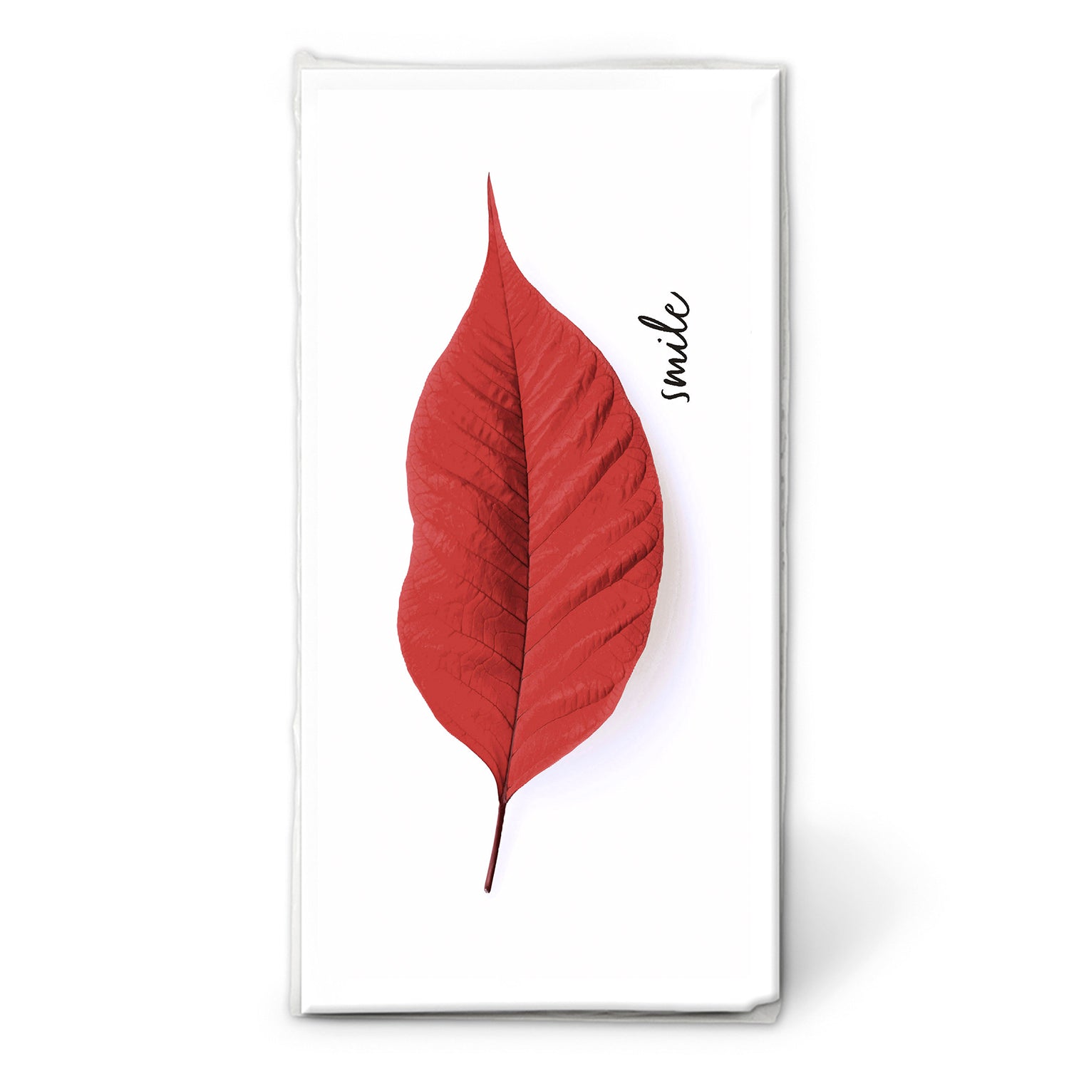 PAÑUELOS OTOÑO SONRIENTE