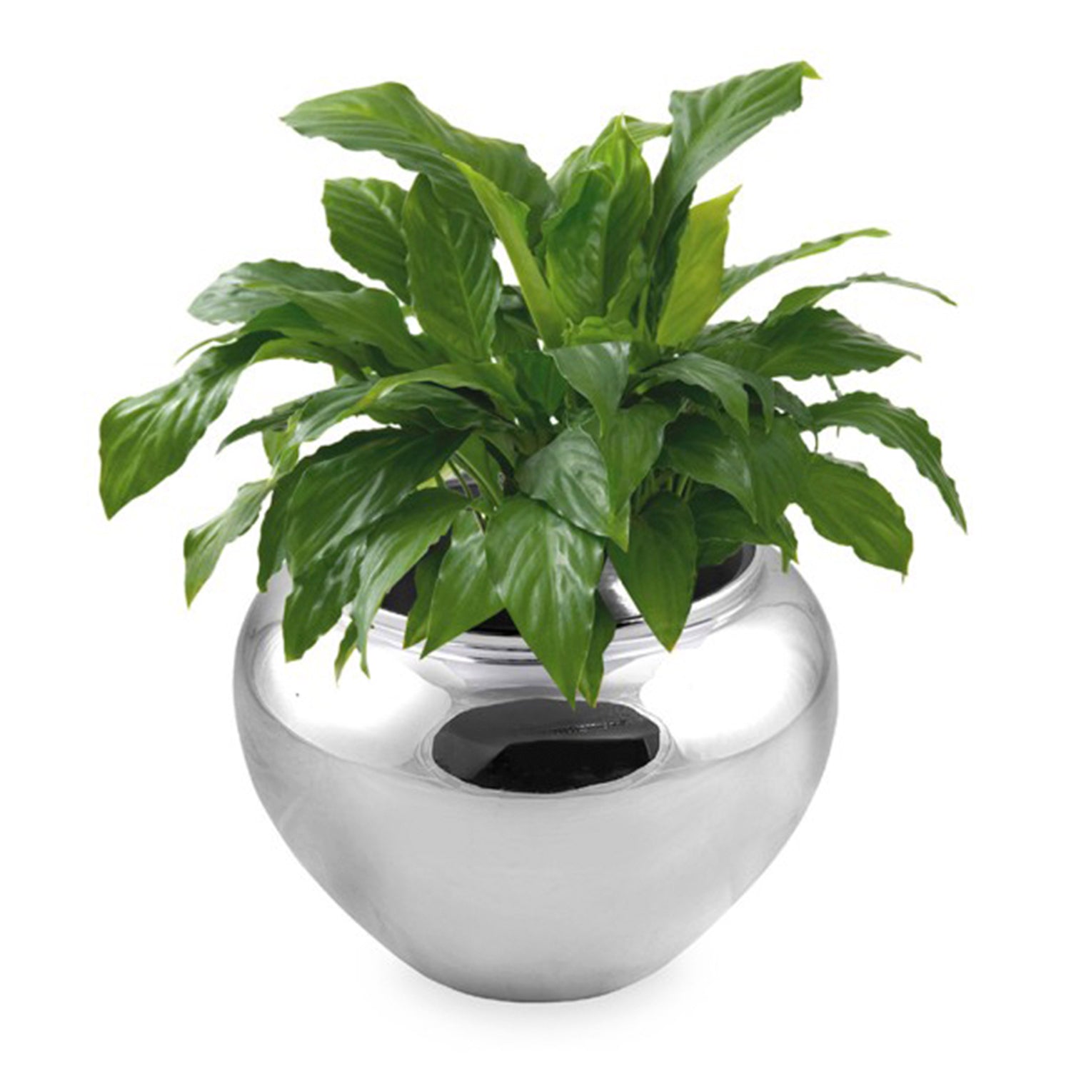 FLORERO MADEIRA GRANDE