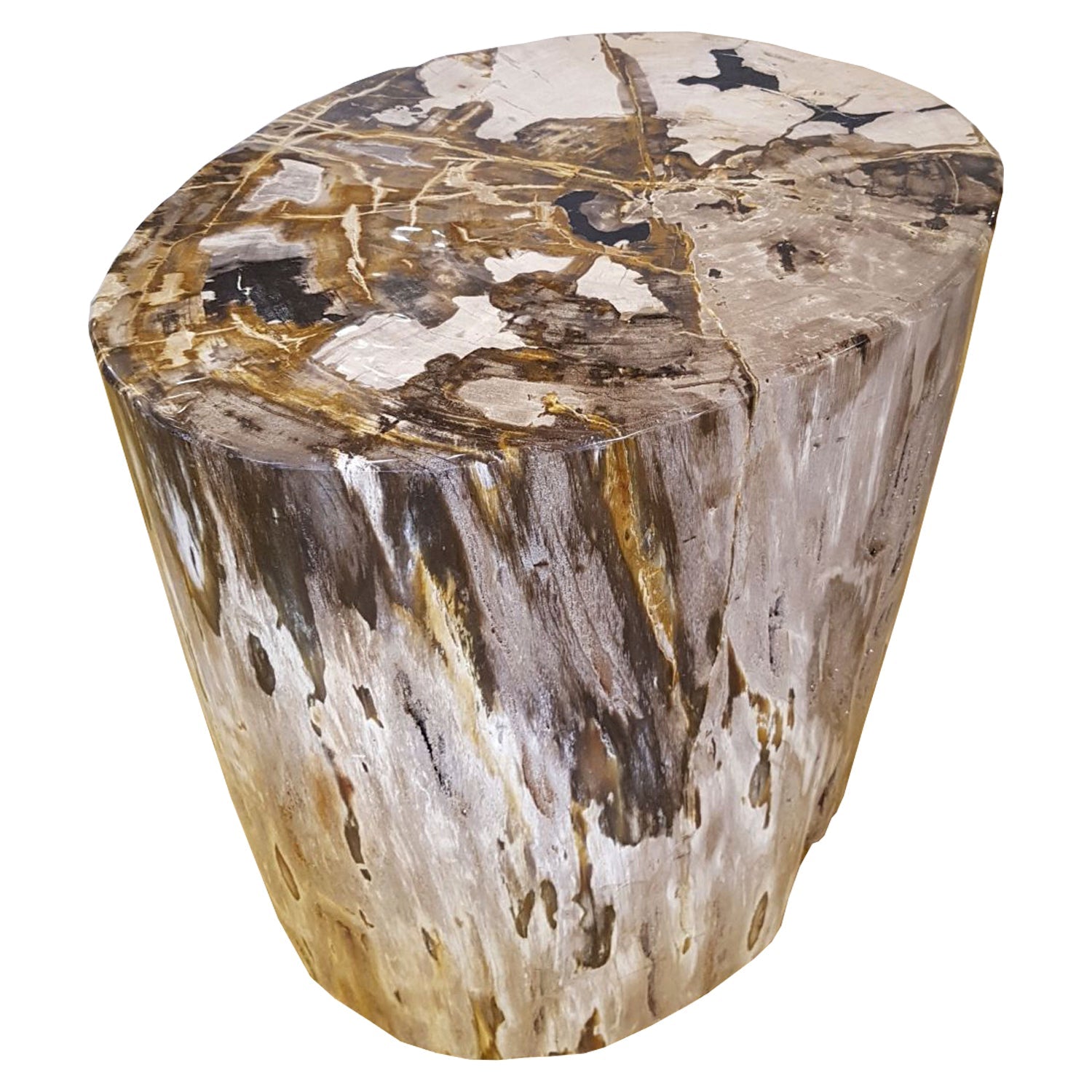 MESA/TABURETE FOSIL GOLD