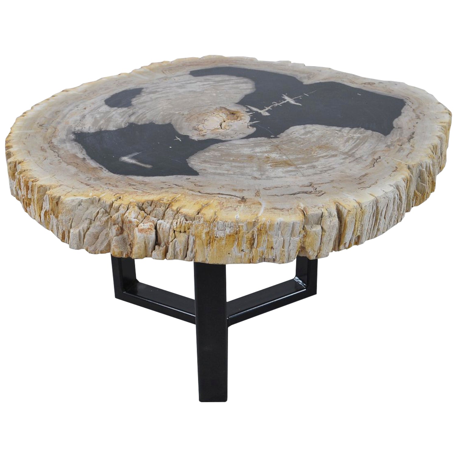 MESA FOSIL NATURAL WOOD