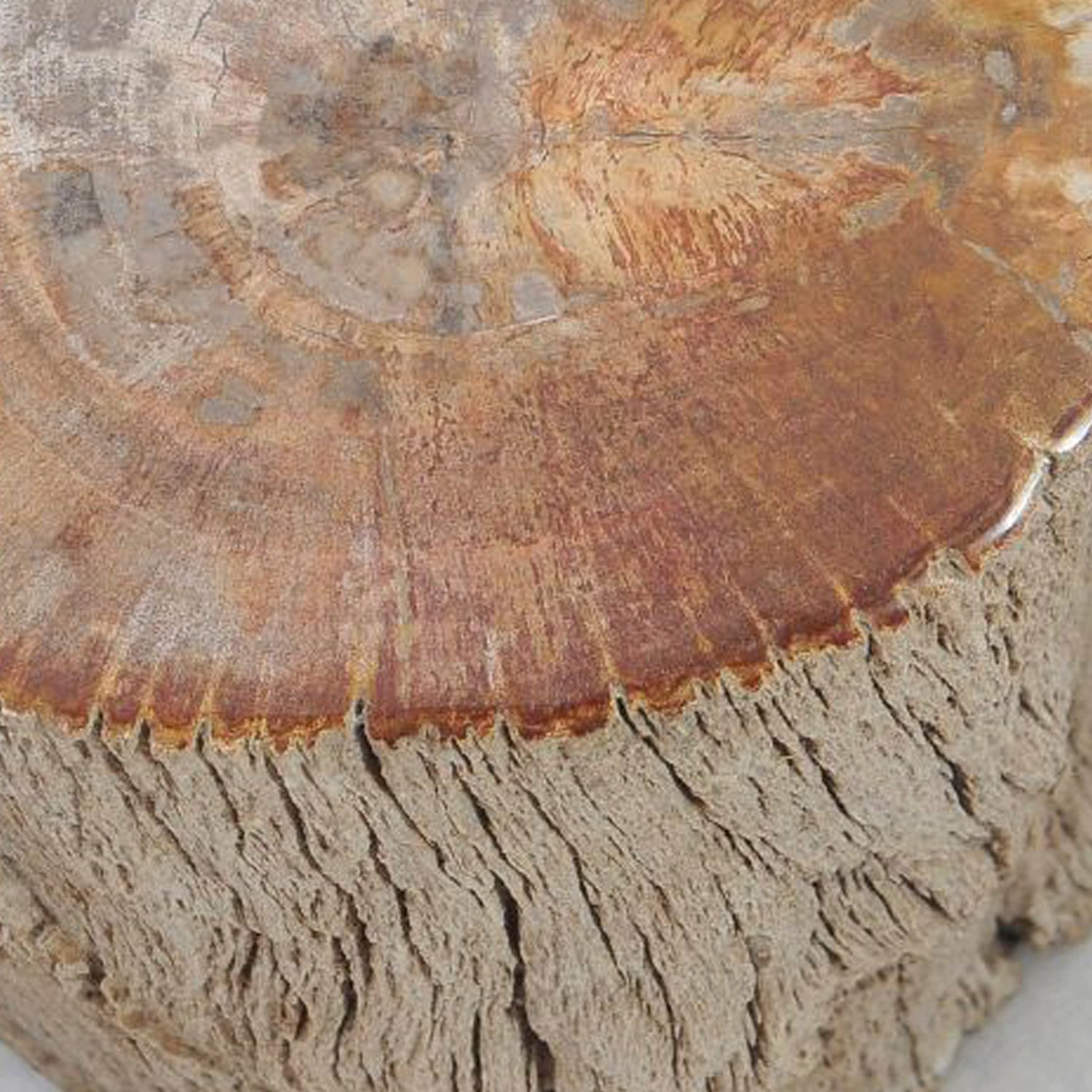 TABLE/STOOL FOSSIL CORTEX BEIGE