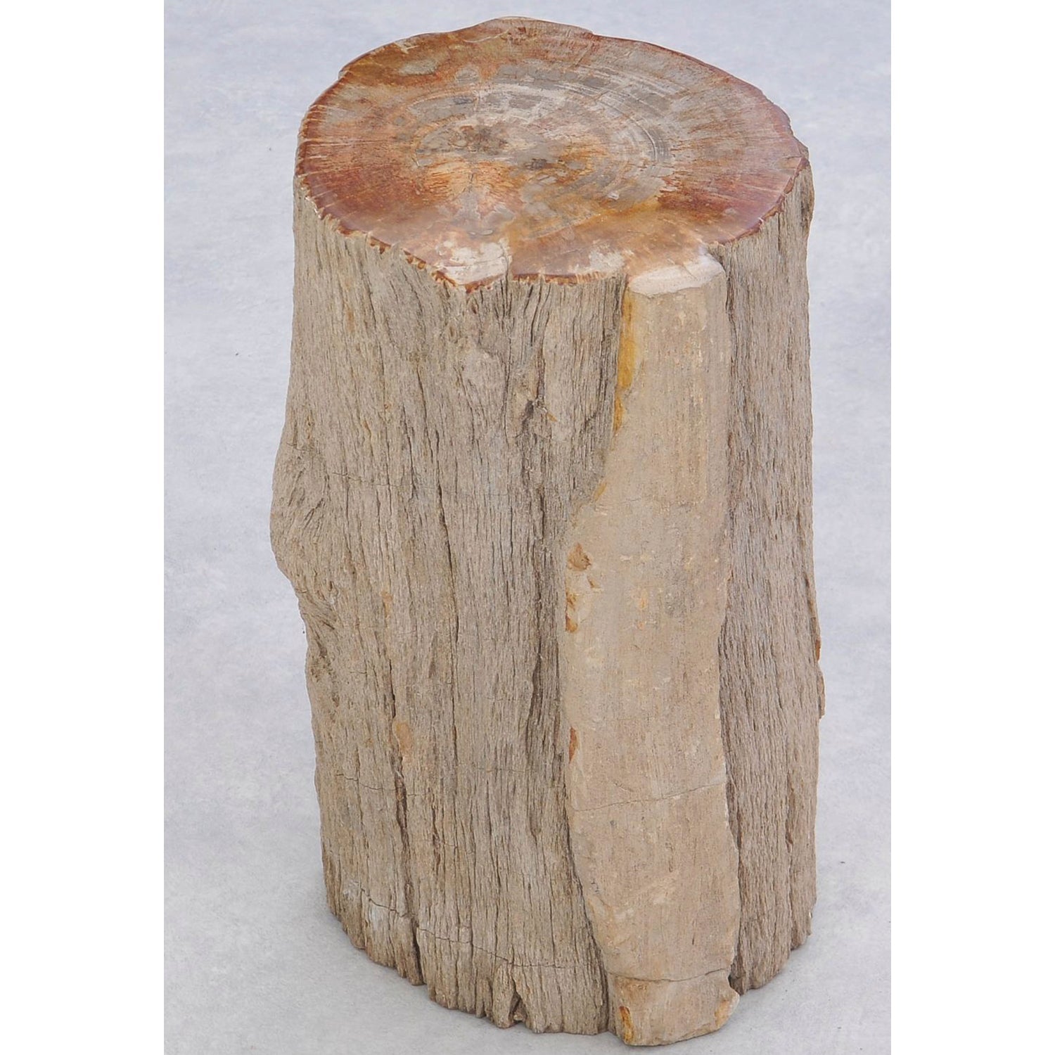 TABLE/STOOL FOSSIL CORTEX BEIGE