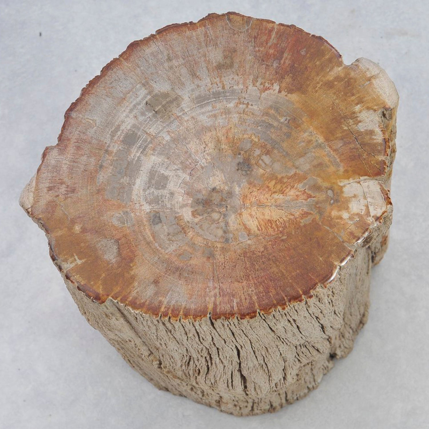 TABLE/STOOL FOSSIL CORTEX BEIGE