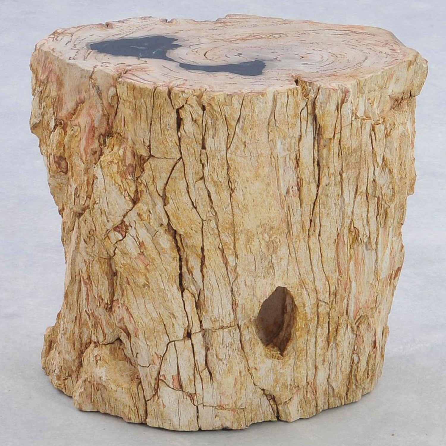 TABLE/STOOL FOSSIL CORTEX CARAMEL