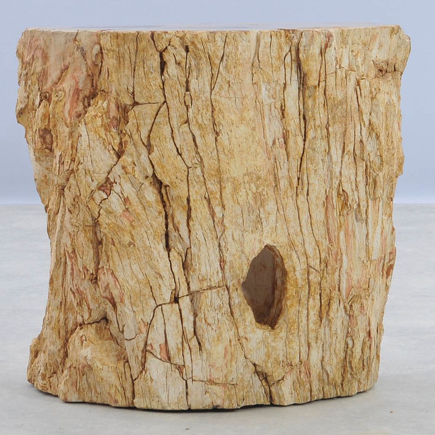 TABLE/STOOL FOSSIL CORTEX CARAMEL