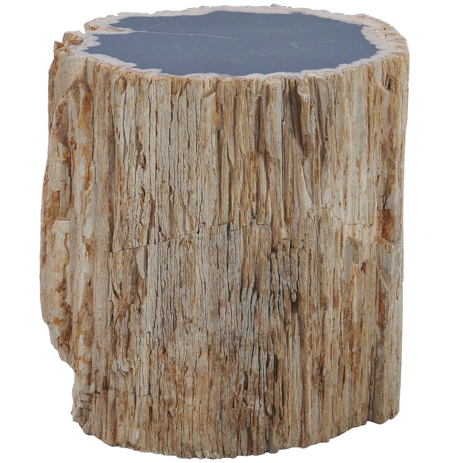 MESA/TABURETE FOSIL REFLECTION