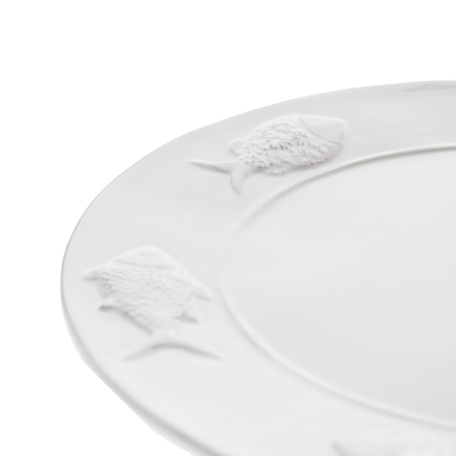 PLATO PARA PIQUEOS PECES