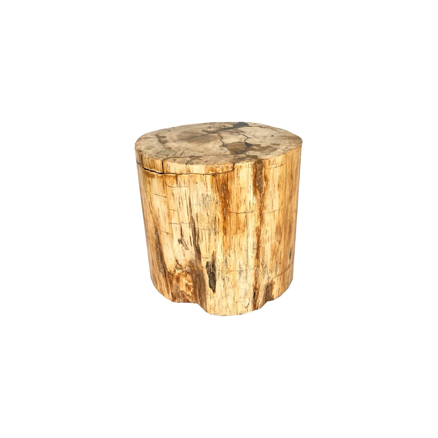 PIEZA FOSILIZADA BAJA