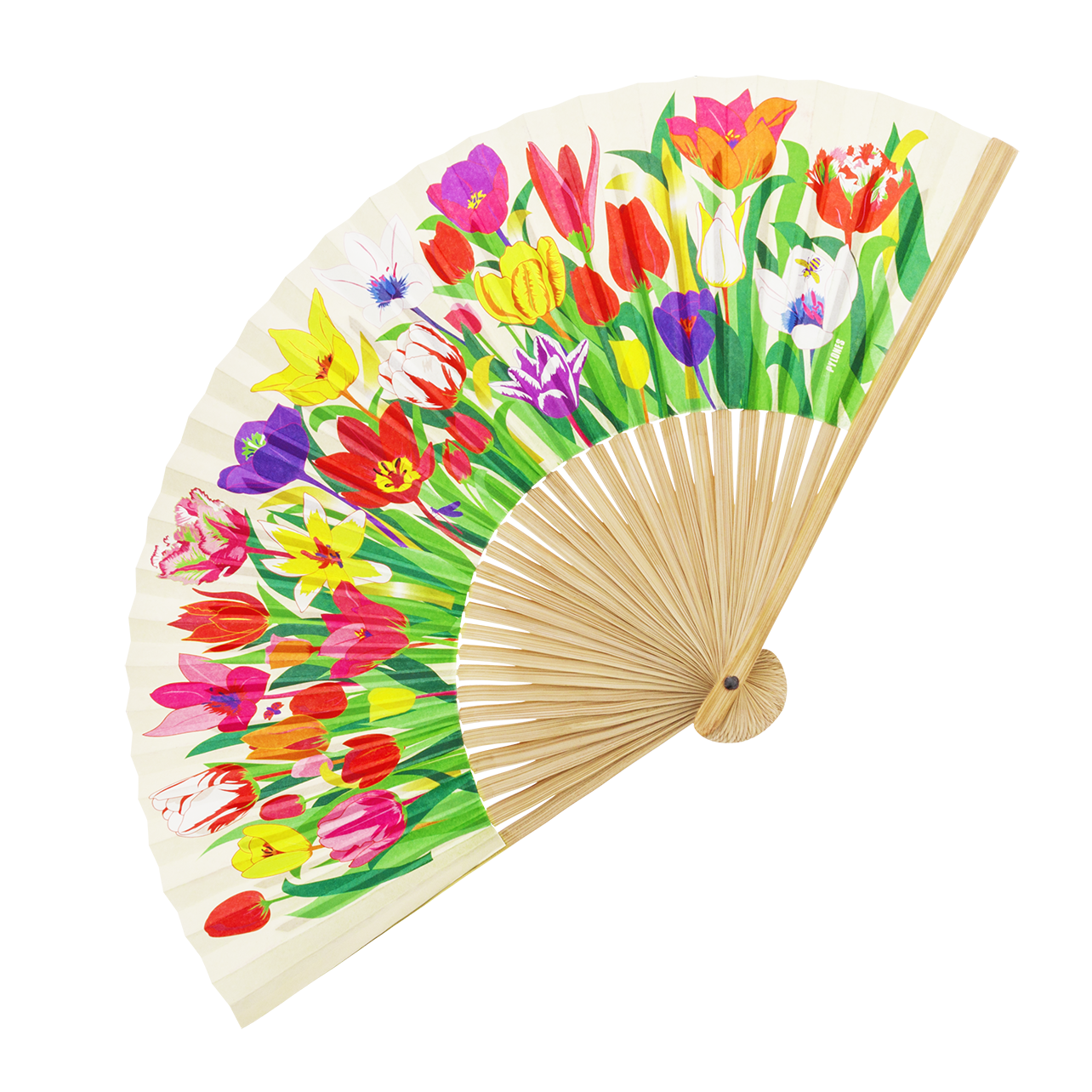 ABANICO TULIPAN