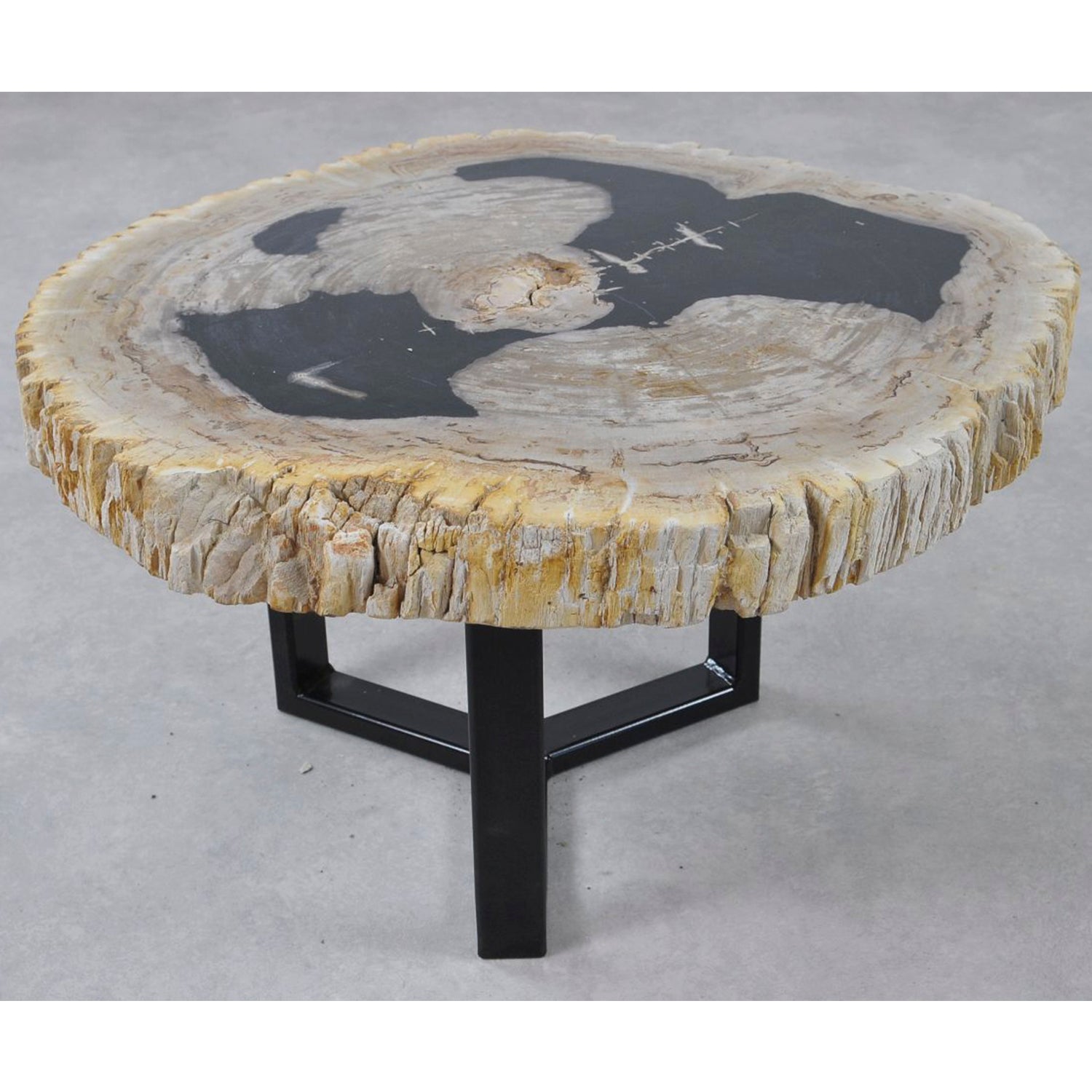 NATURAL WOOD FOSSIL TABLE