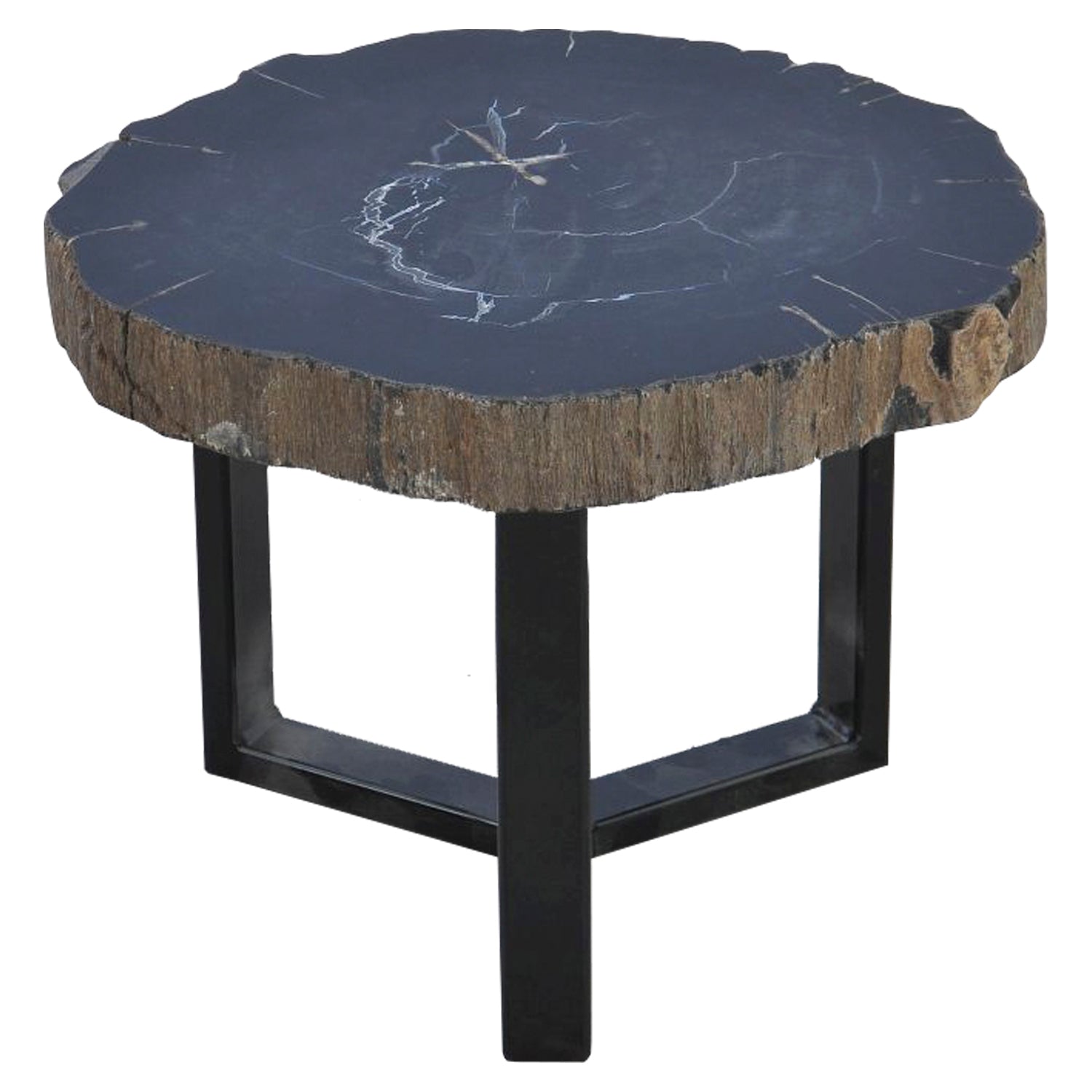 CONIC FOSSIL TABLE